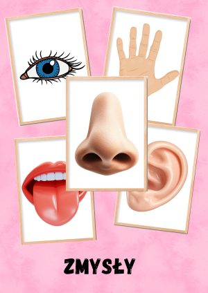 Zmysły przedszkole karty, puzzle, kolorowanki | zestaw edukacyjny PDF 61 stron