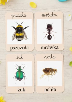 Owady przedszkole – pakiet edukacyjny do druku PDF