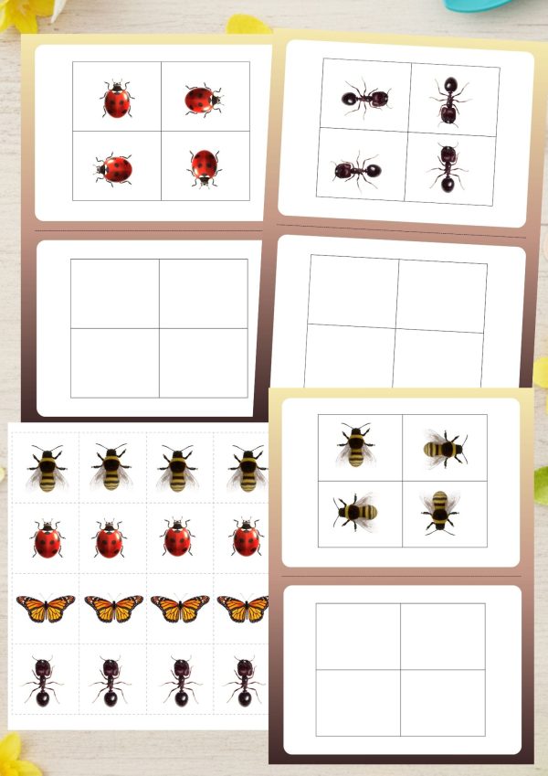 Owady przedszkole – pakiet edukacyjny do druku PDF