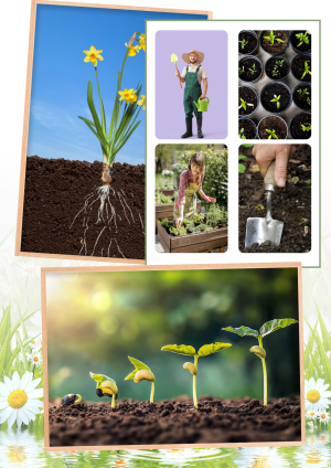 Wiosna w ogrodzie – pakiet edukacyjny do druku pdf dla przedszkola